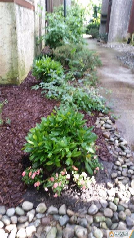 279 Rector Street Perth Amboy, NJ 08861 - Photo 2 of 2 a view of a garden with plants and flowers