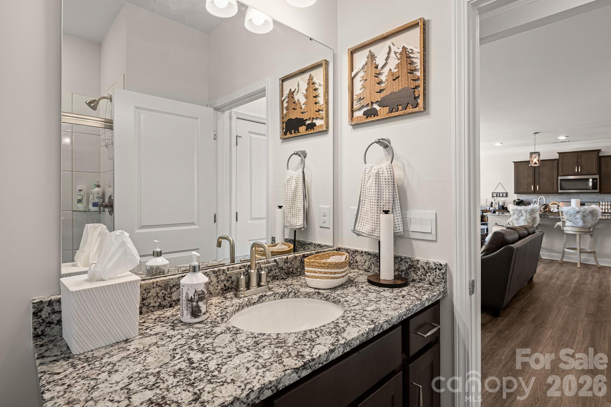 199 Fox Cove Road Hendersonville, NC 28792 - Photo 15 of 48 a bathroom with sink and mirror