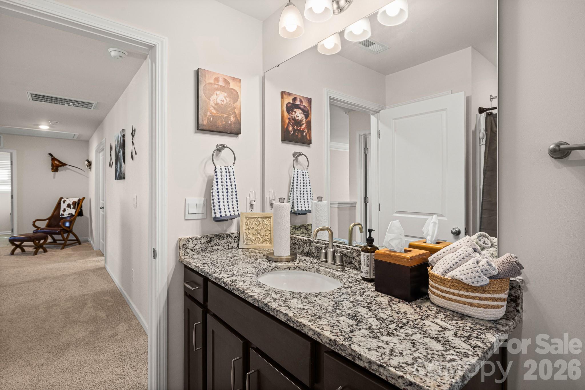 199 Fox Cove Road Hendersonville, NC 28792 - Photo 31 of 48 a bathroom with sink granite and a mirror