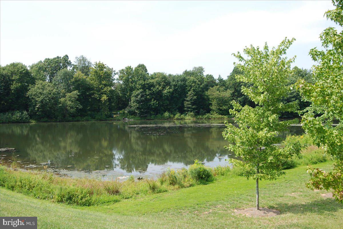 723 Main Street, Unit 723B Gaithersburg, MD 20878 - Photo 65 of 71 a body of water with a tree in the background
