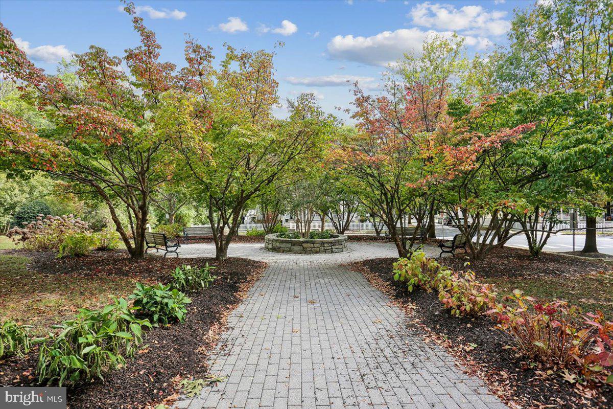 723 Main Street, Unit 723B Gaithersburg, MD 20878 - Photo 66 of 71 a view of a yard with plants and trees