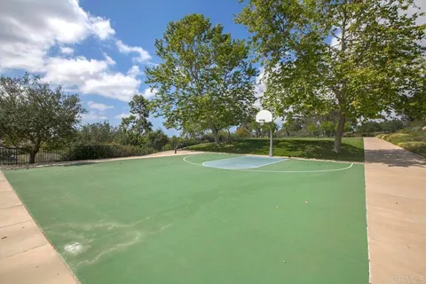 a view of a park with large trees