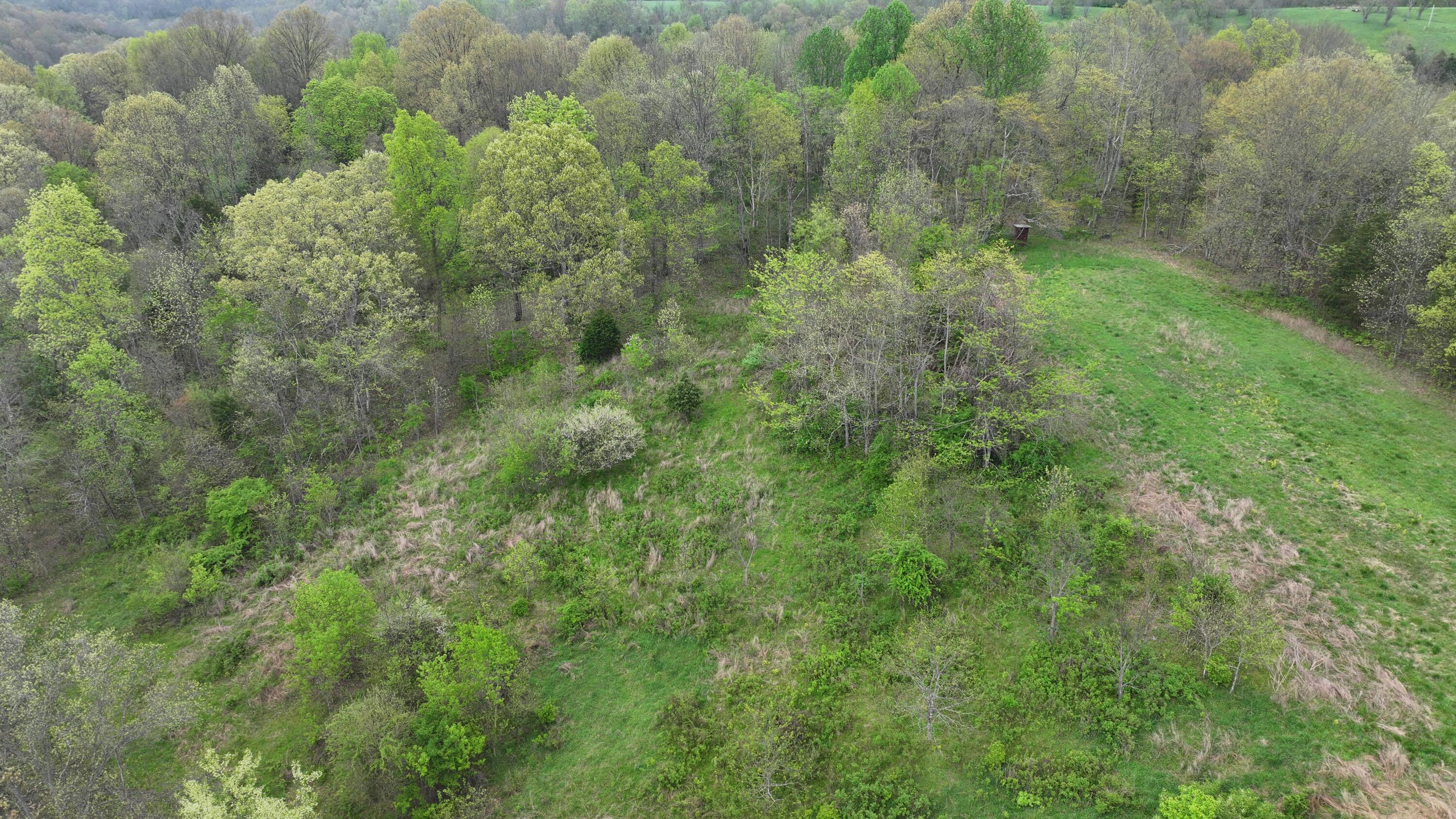 0 Maddox Road Jonesville, KY 41052 - Photo 8 of 14 Gallery Image 8