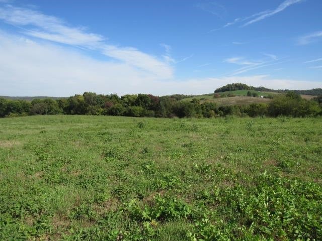 34282 Jupiter Road Garber, IA 52048 - Photo 5 of 12 Gallery Image 5