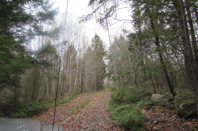 Tbd Mattmiscontis Road Howland, ME 04448 - Photo 3 of 16 Trivoudey 001