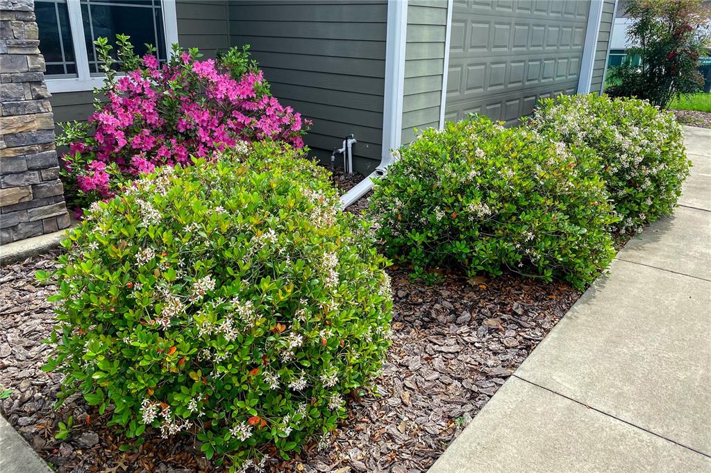 989 Northwest 231st Way Newberry, FL 32669 - Photo 34 of 34