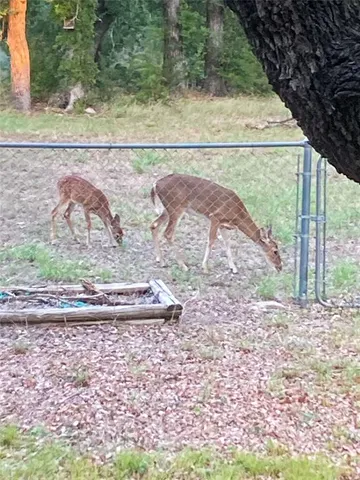 $700,000 | 801 Highway 2214, Ranger, TX 76470