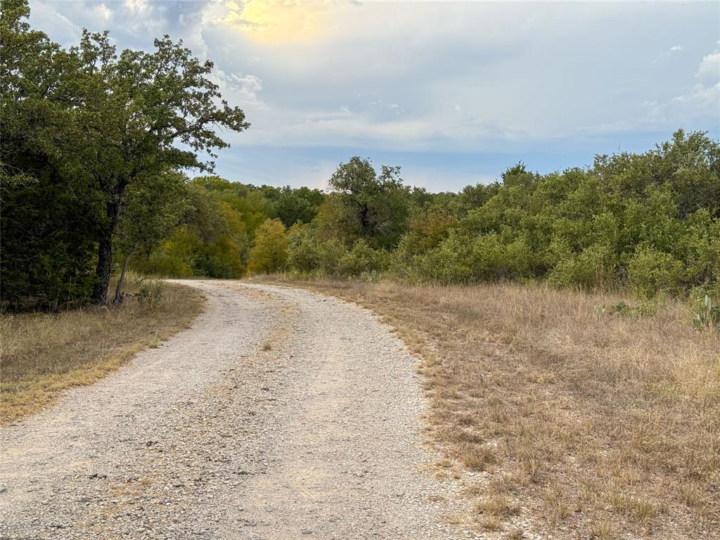 801 Highway 2214 Ranger, TX 76470 - Photo 39 of 40 a view of a dry yard with trees in the background