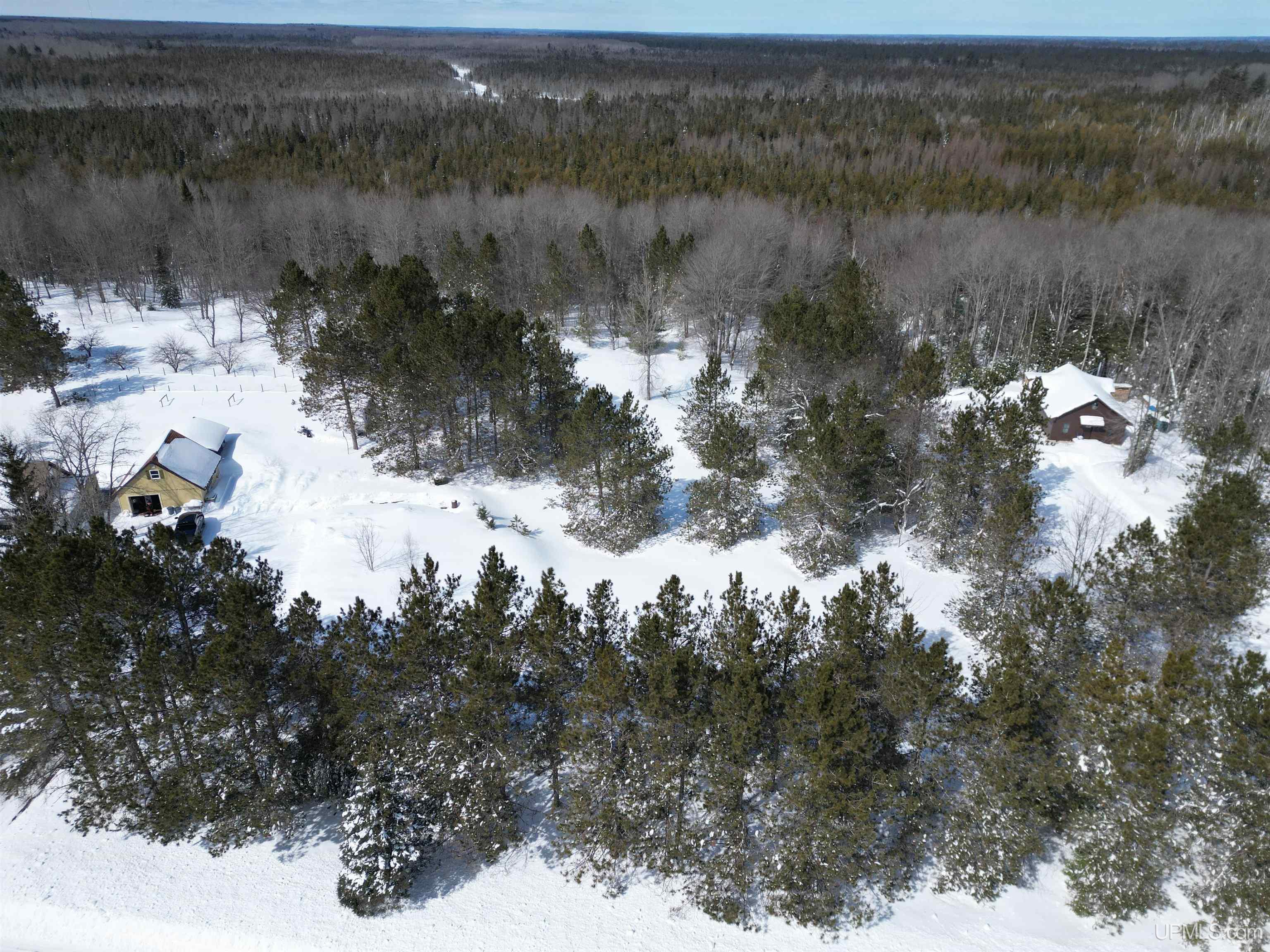Tbd West Smith Lake Road Manistique, MI 49854 - Photo 8 of 20
