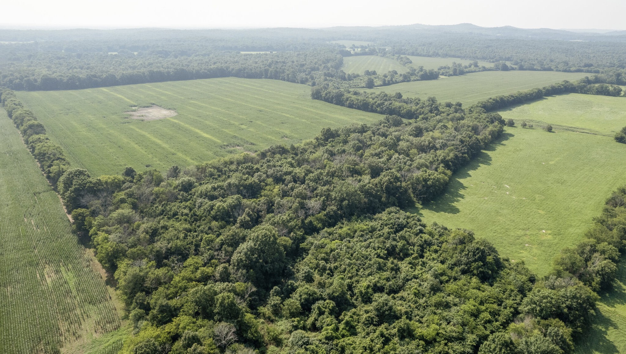 3008 Luke Moser Road Columbia, TN 38401 - Photo 7 of 44