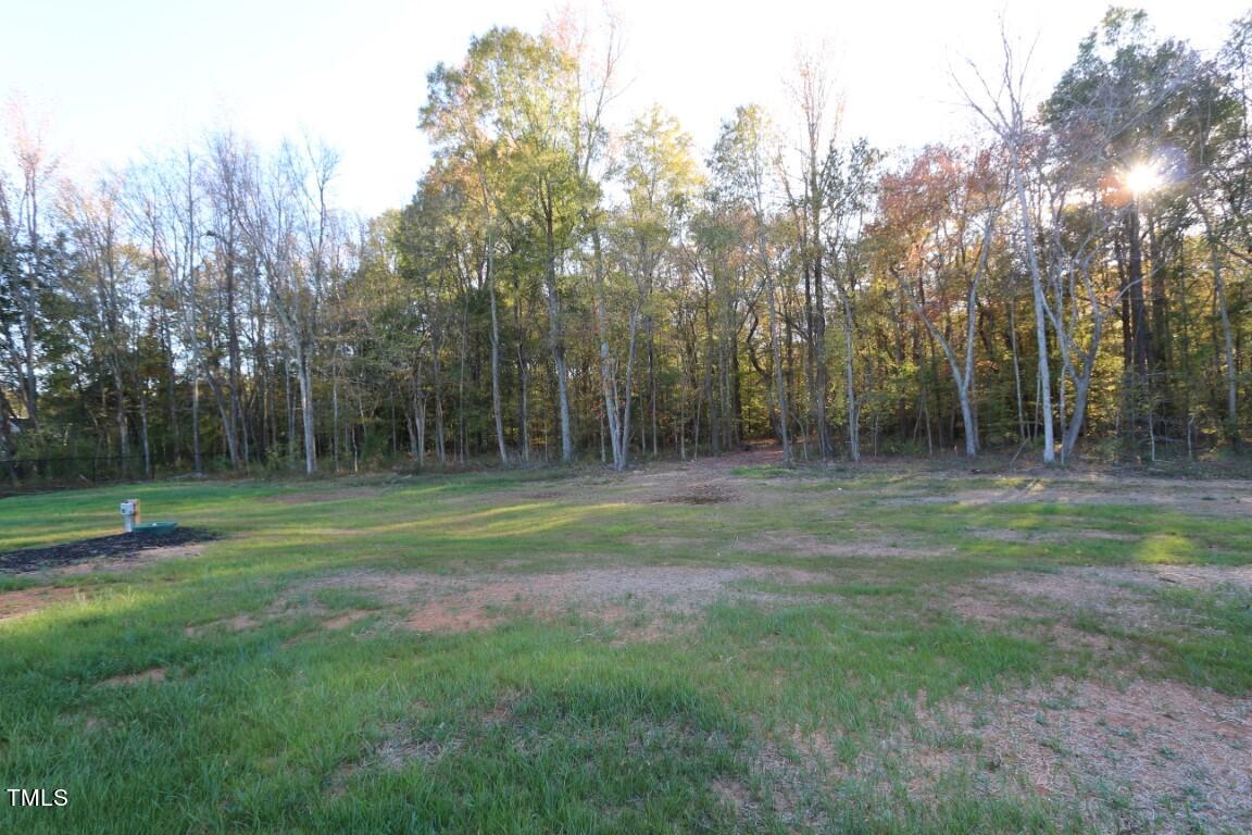 344 Derwin Drive Timberlake, NC 27583 - Photo 43 of 43 43