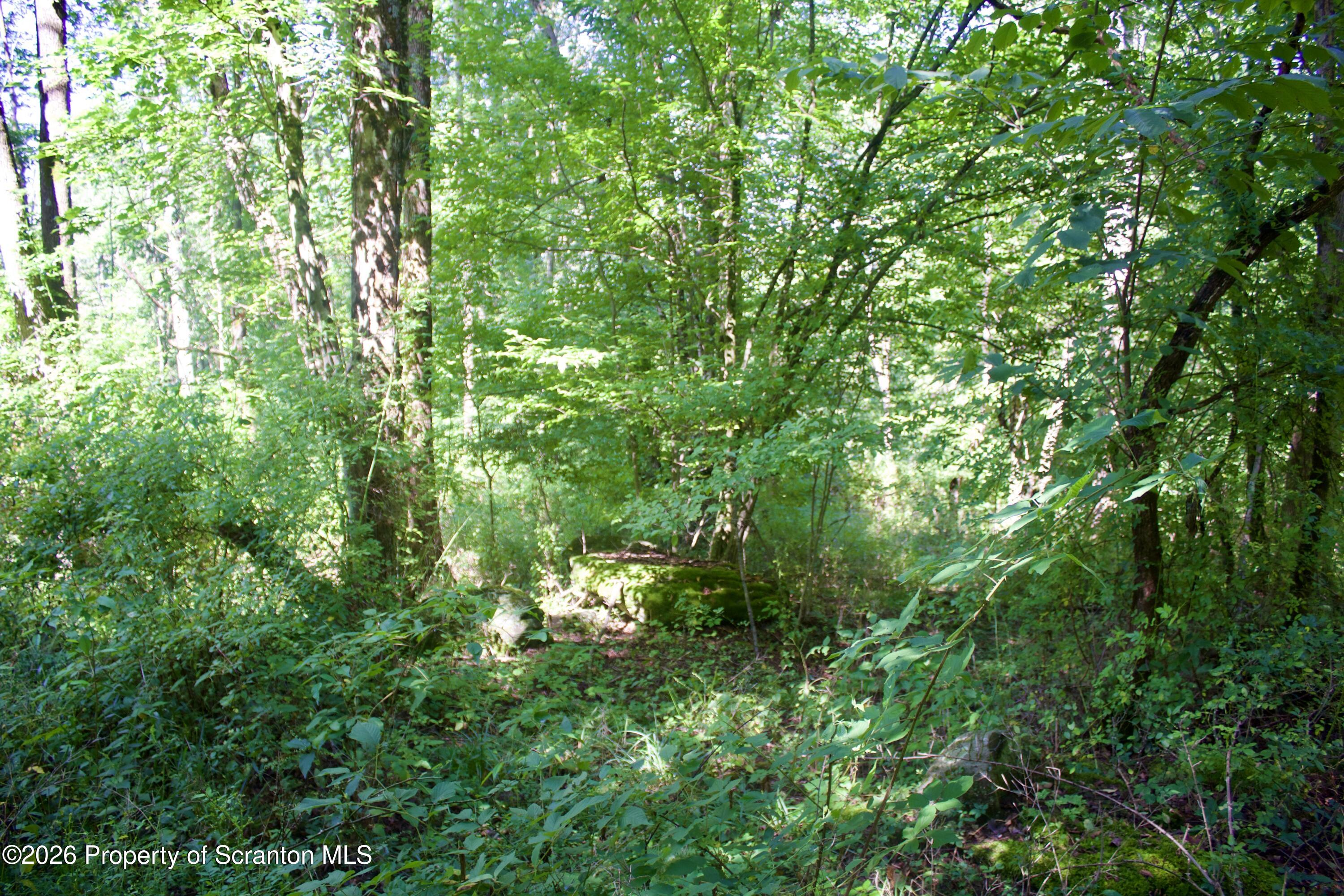 2000 Belcher Road Union Dale, PA 18470 - Photo 3 of 28 IMG_4662