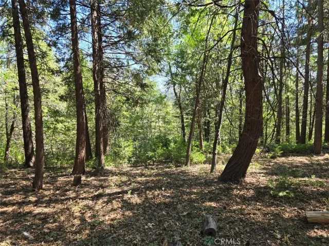 a view of outdoor space and trees