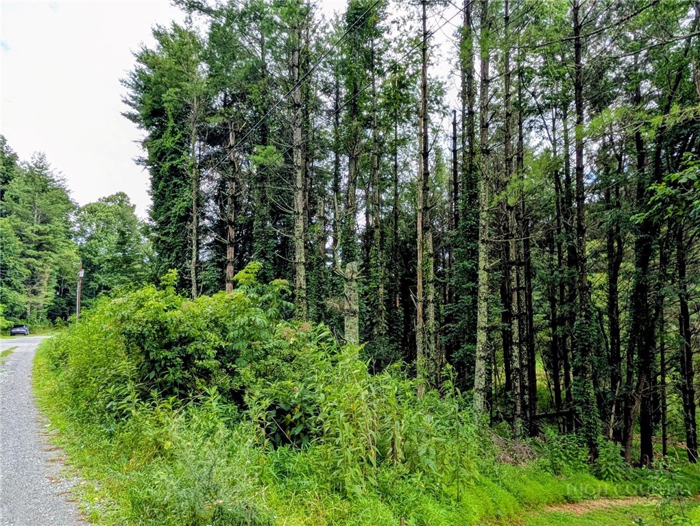 Stuart Williams Road Boone, NC 28607 - Photo 15 of 20