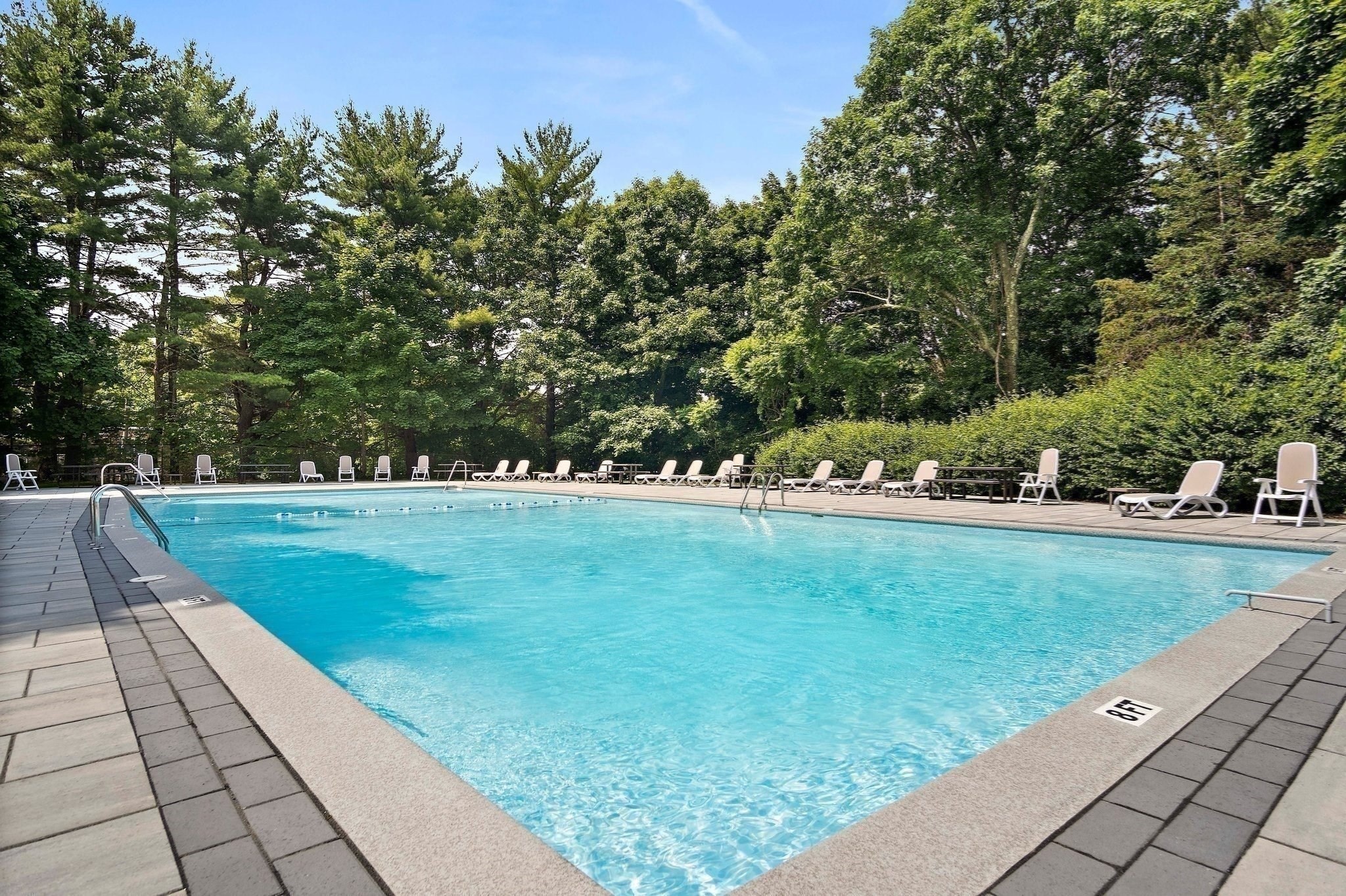 57 Jacqueline Road, Unit 8 Waltham, MA 02452 - Photo 15 of 19 Gallery Image 15
