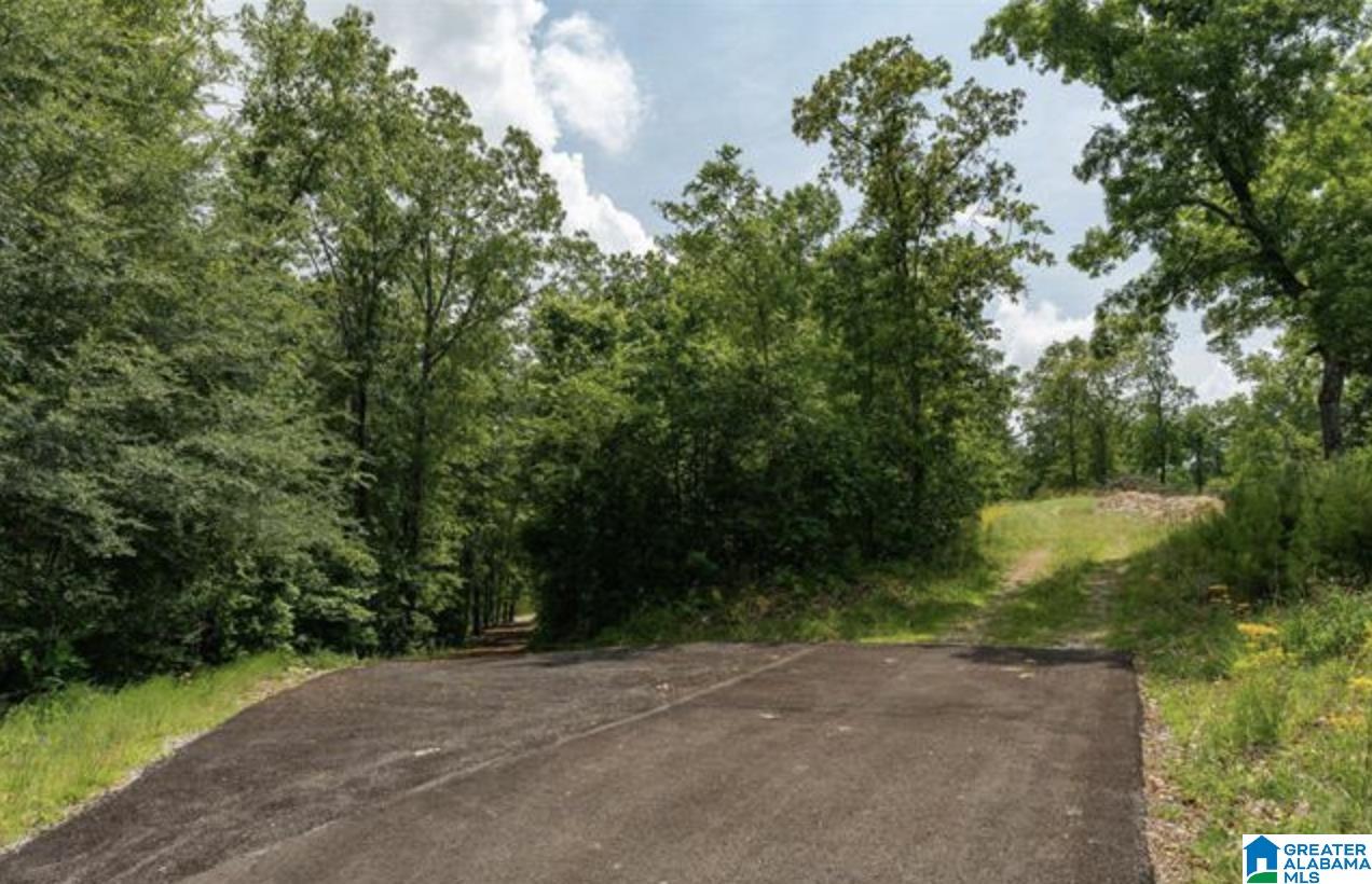 3459 Springstone Trail, Unit LOT 2 Leeds, AL 35094 - Photo 9 of 21 Gallery Image 9