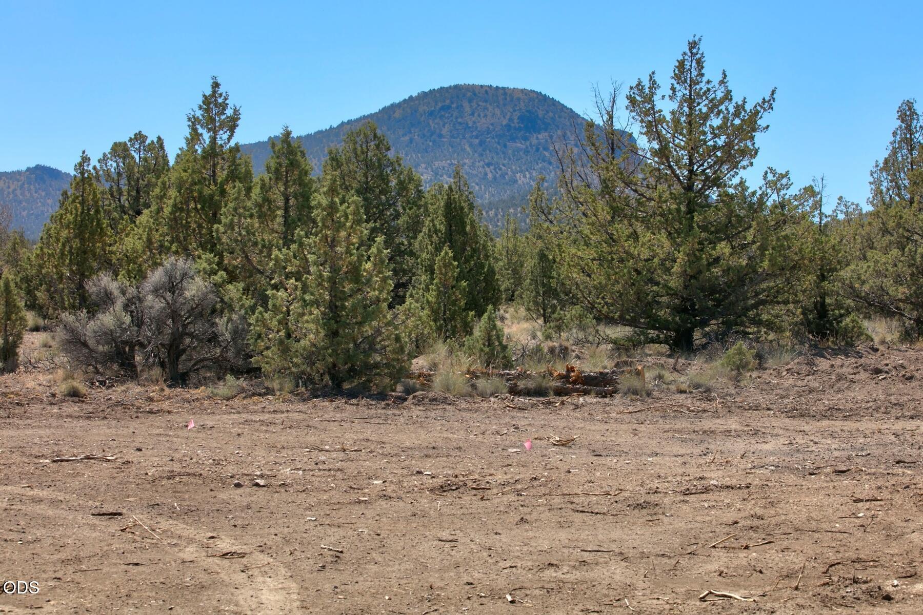 0 Southwest Reif Road, Unit PARCEL 2 Powell Butte, OR 97753 - Photo 11 of 18