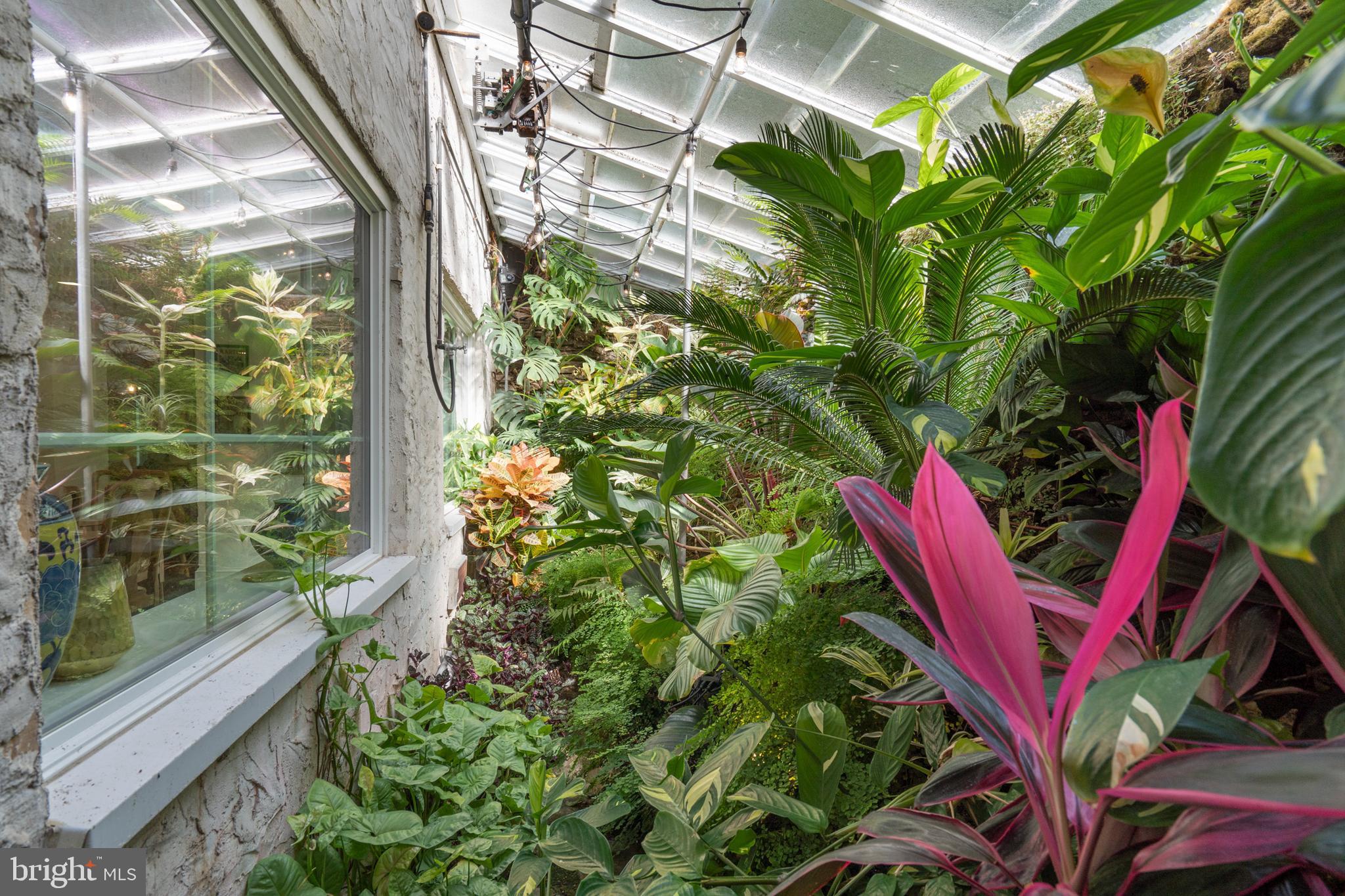 14 Spring Hollow Road Wayne, PA 19087 - Photo 18 of 51 Greenhouse view from dining room