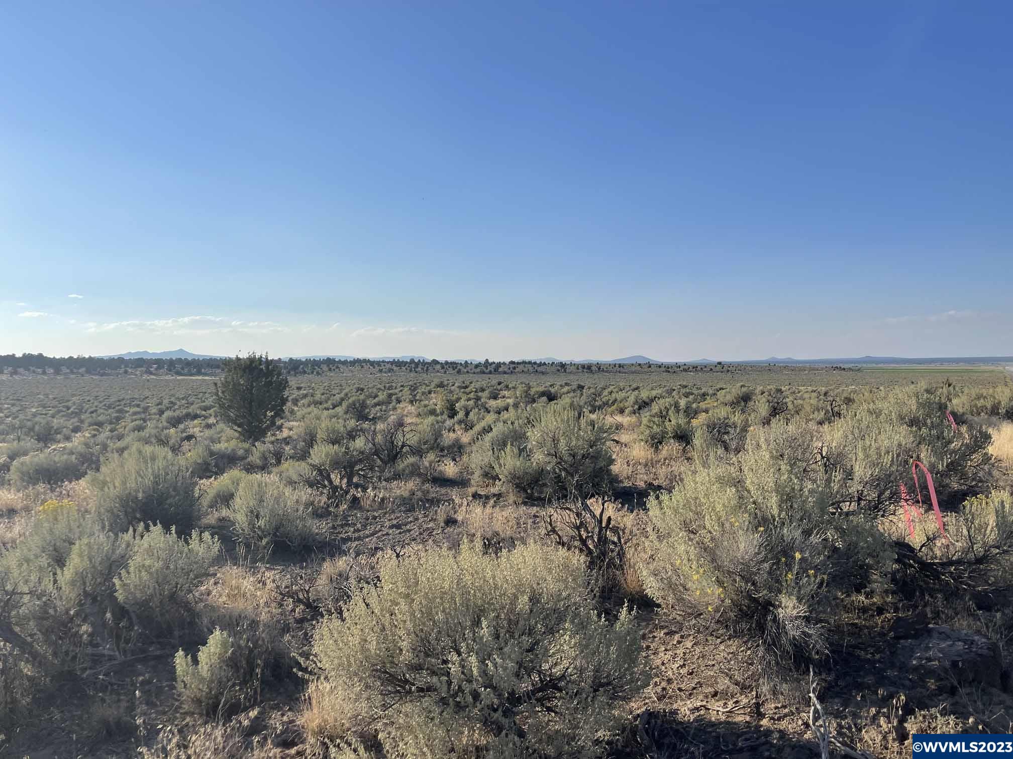 0 Millican Road Christmas Valley, OR 97641 - Photo 8 of 11