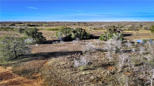 $875,000 | 9912 Farm To Market 1681, Nixon, TX 78140