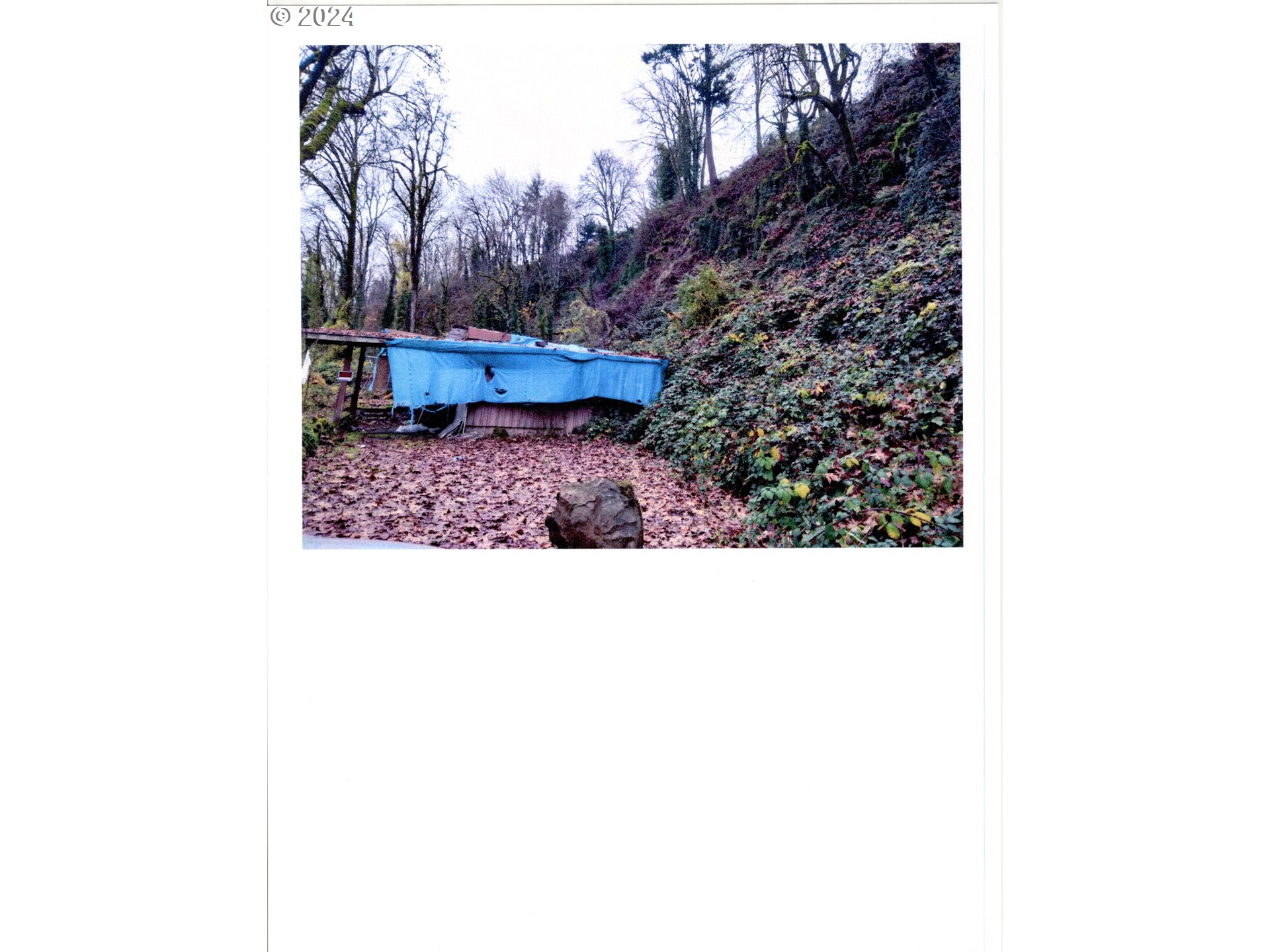 689 South South End Road Oregon City, OR 97045 - Photo 1 of 26 a picture of a bench in a tree