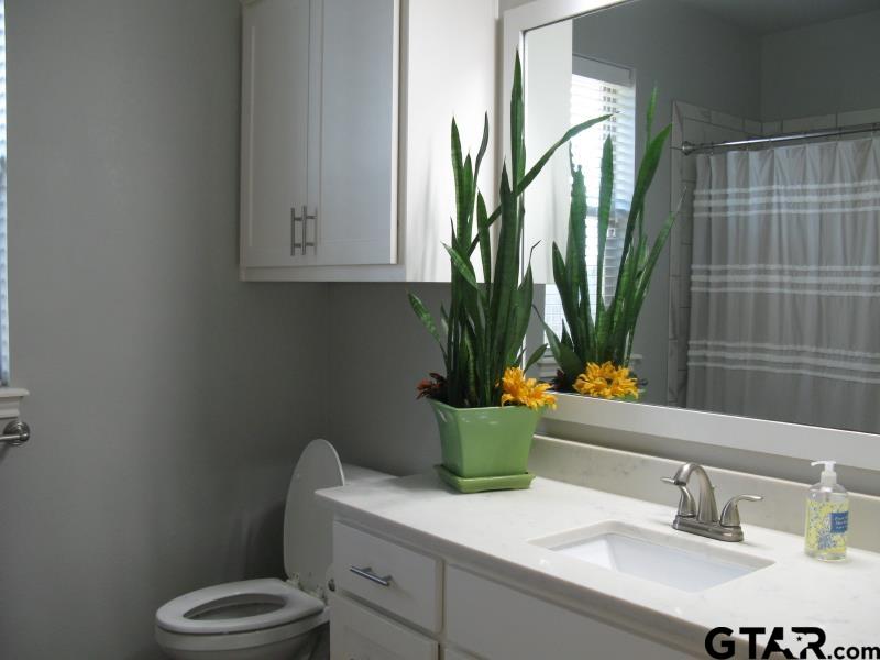 118 Nathan Road Chandler, TX 75758 - Photo 21 of 28 a bathroom with a potted plant and a sink