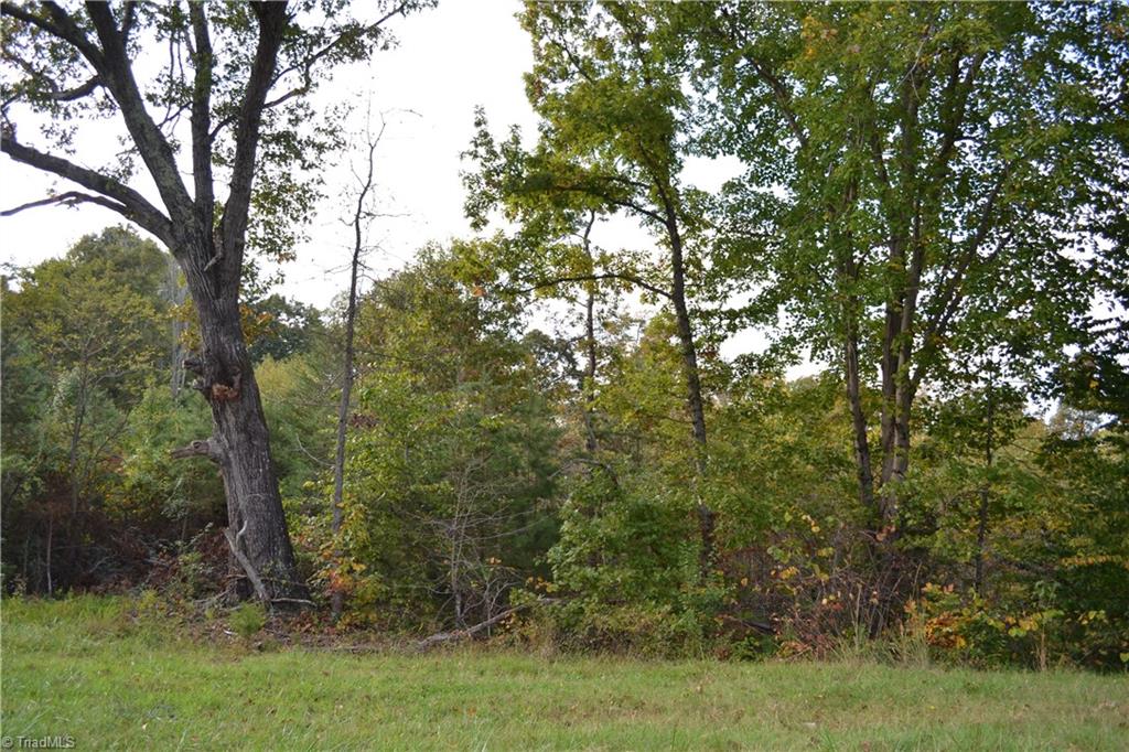 135 Park Road Mayodan, NC 27027 - Photo 2 of 3