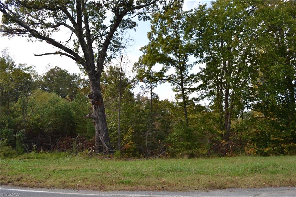 135 Park Road Mayodan, NC 27027 - Photo 3 of 3