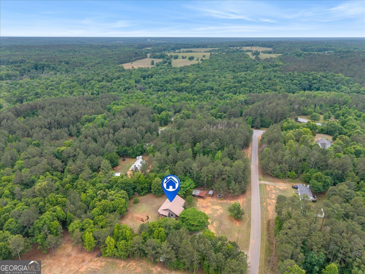 1050 Pintail Lane Madison, GA 30650 - Photo 49 of 52