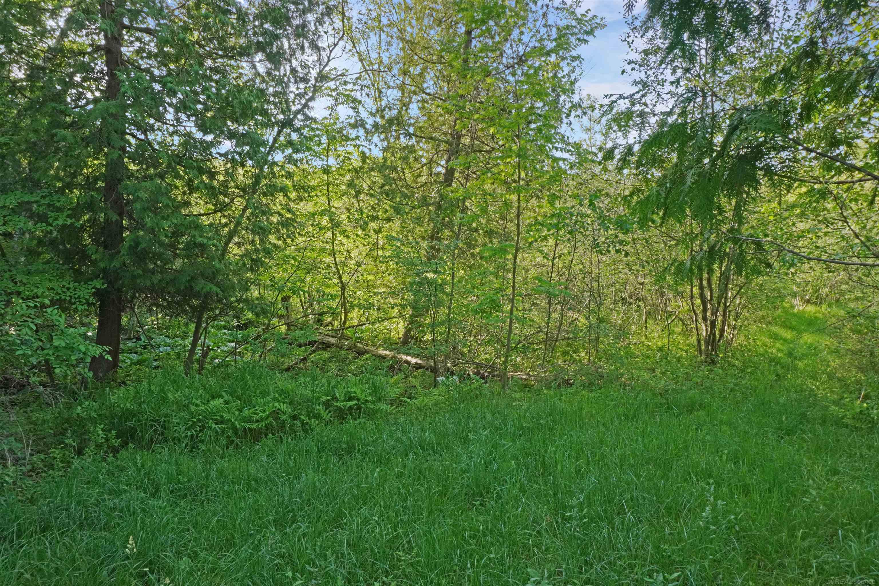 1385 North Blacks Corners Road Imlay City, MI 48444 - Photo 53 of 57