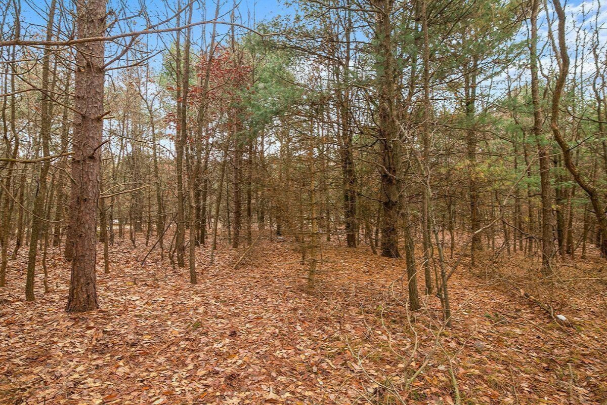 6245 Ravine Ridge Road Kalamazoo, MI 49009 - Photo 31 of 50 Wooded Property