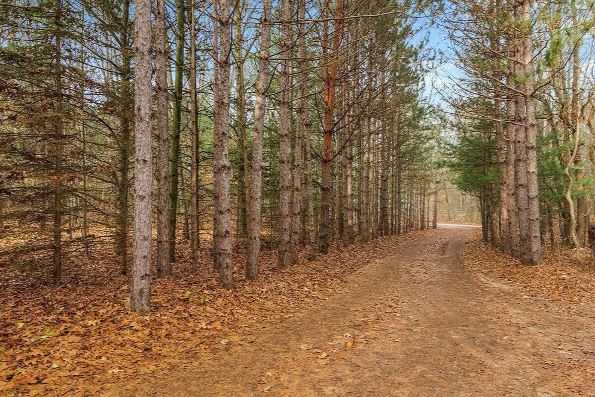 6245 Ravine Ridge Road Kalamazoo, MI 49009 - Photo 34 of 50 Down the Path