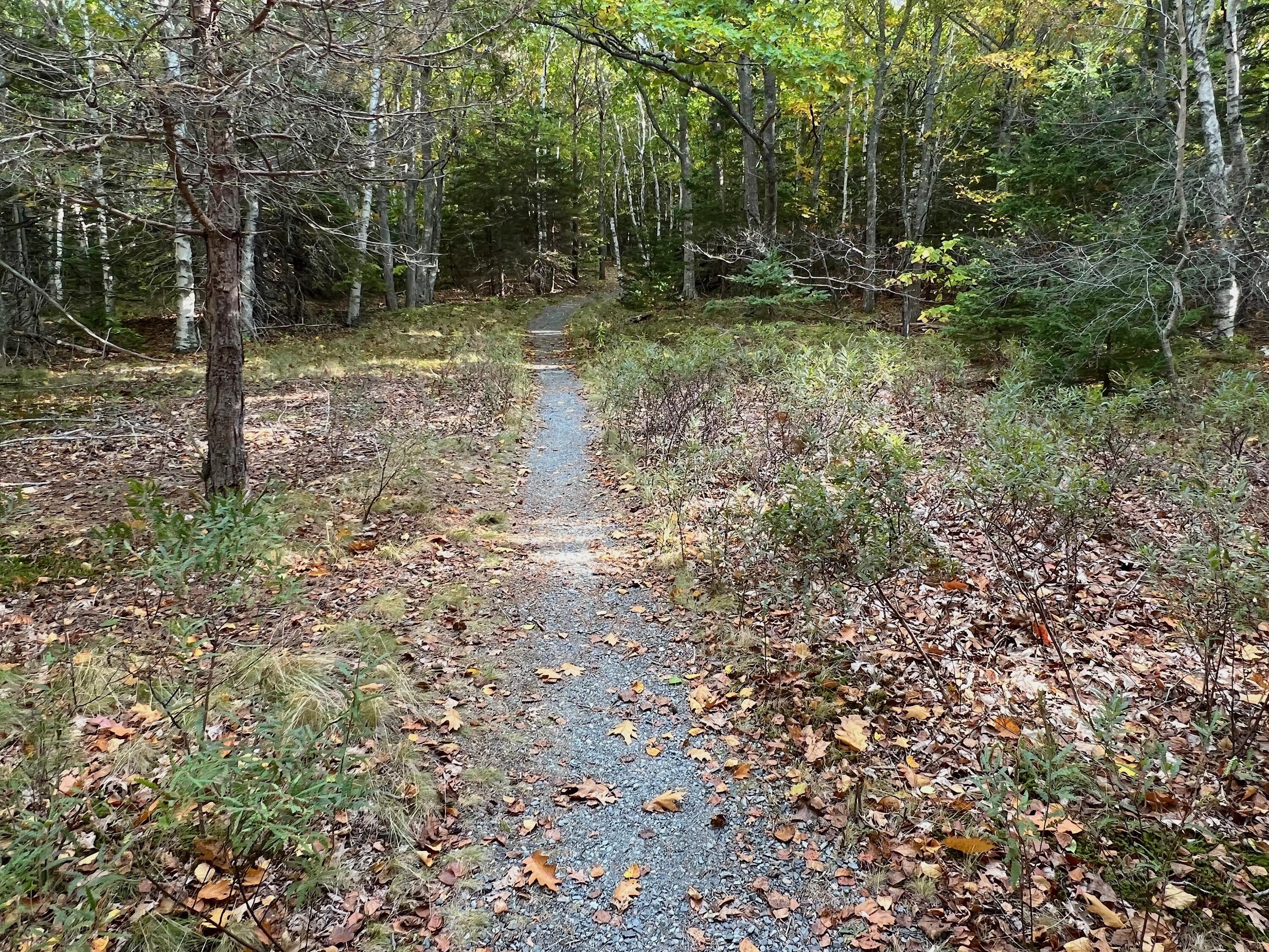 472 Schooner Head Road Bar Harbor, ME 04609 - Photo 103 of 111 trail
