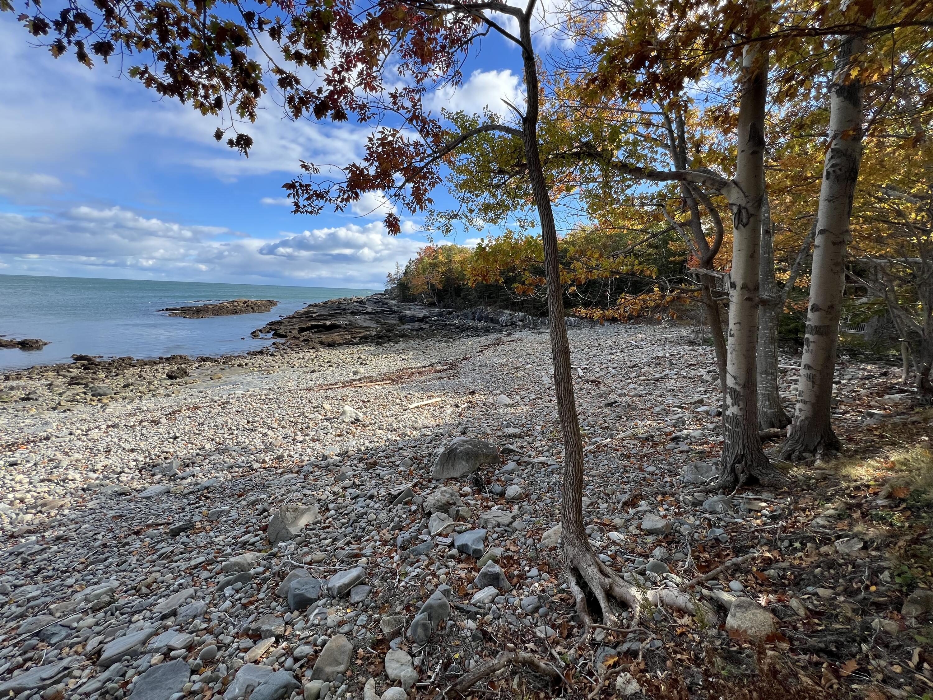 472 Schooner Head Road Bar Harbor, ME 04609 - Photo 17 of 111 beach right