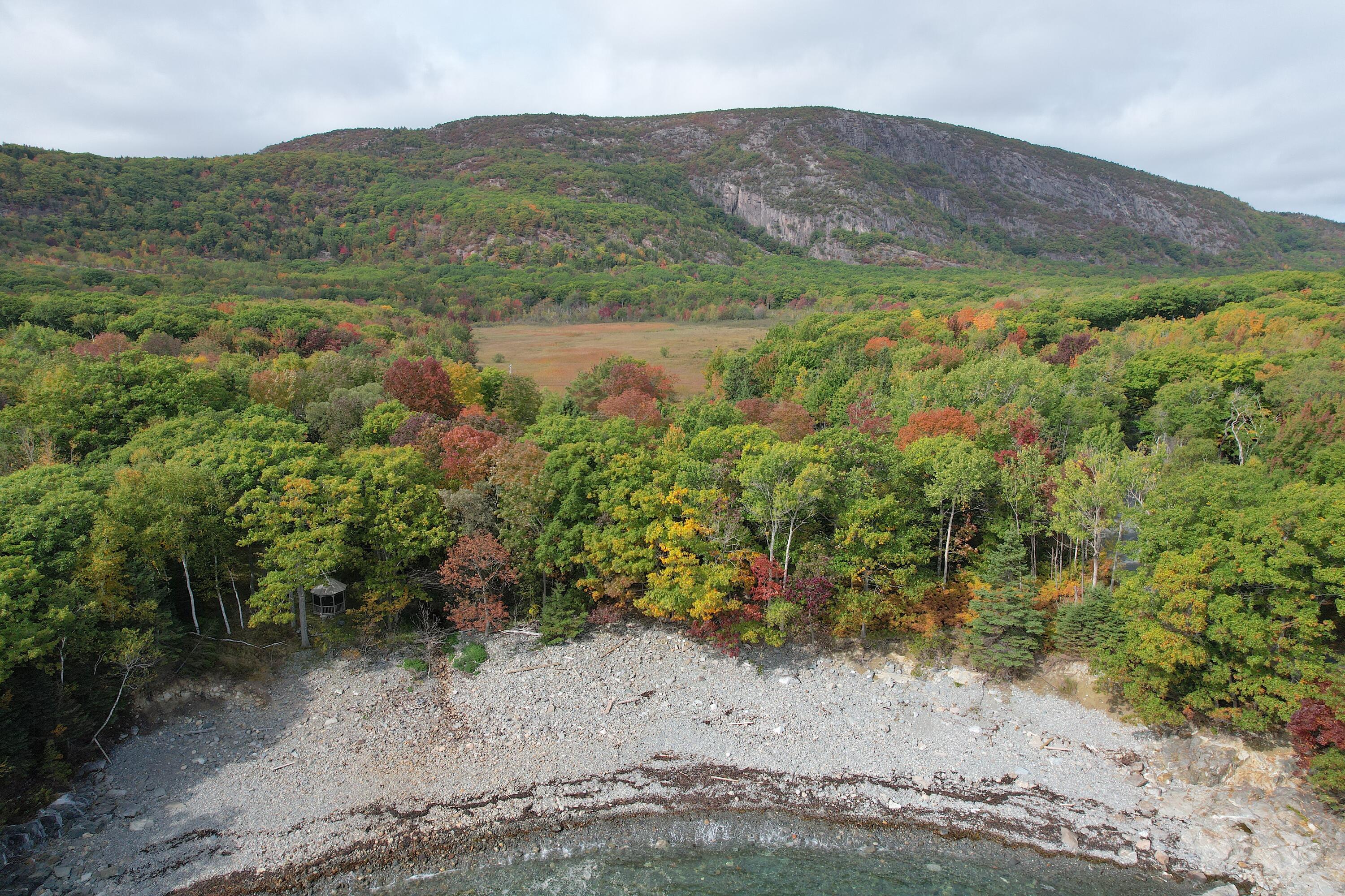 472 Schooner Head Road Bar Harbor, ME 04609 - Photo 20 of 113 marsh