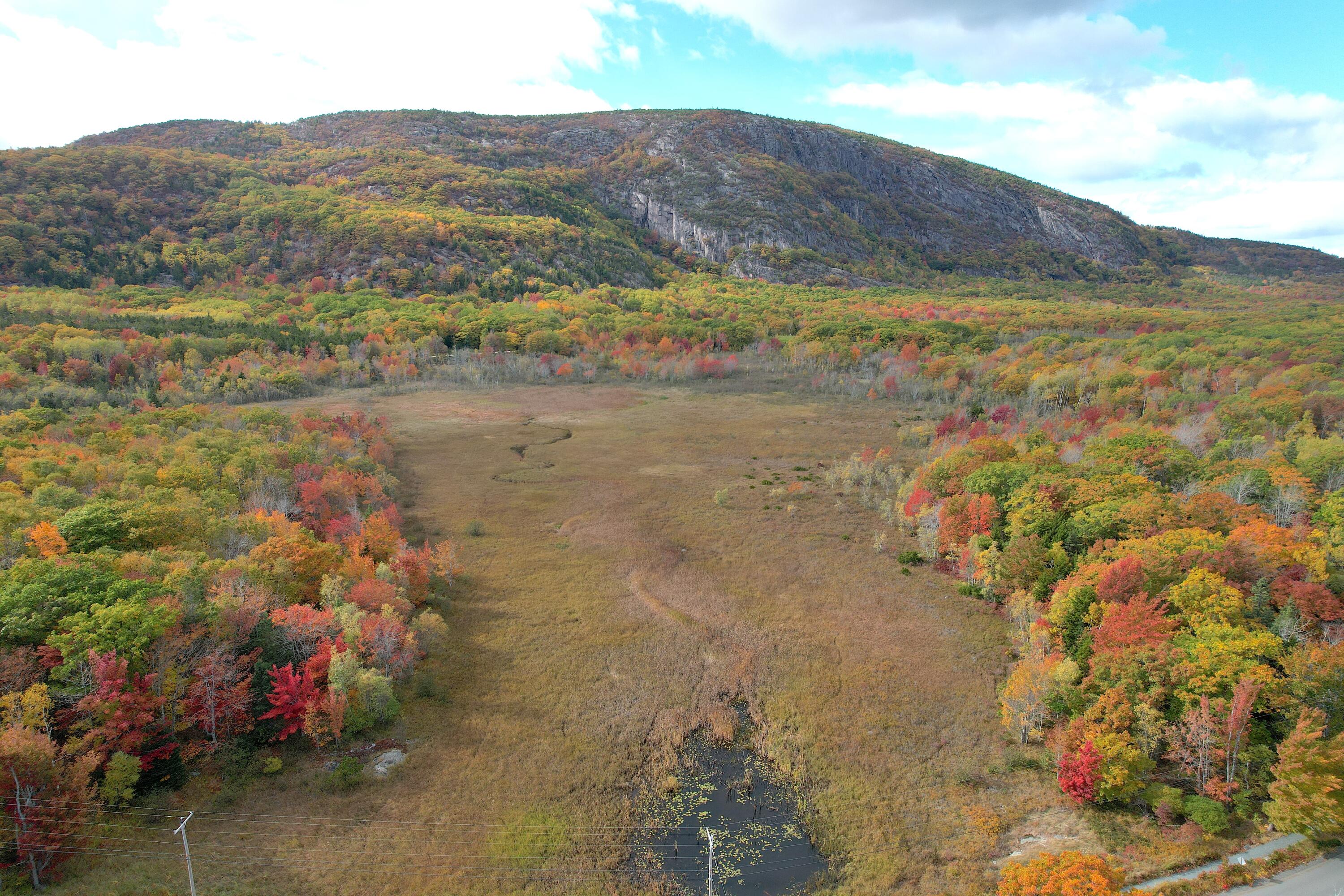 472 Schooner Head Road Bar Harbor, ME 04609 - Photo 22 of 113 meadow