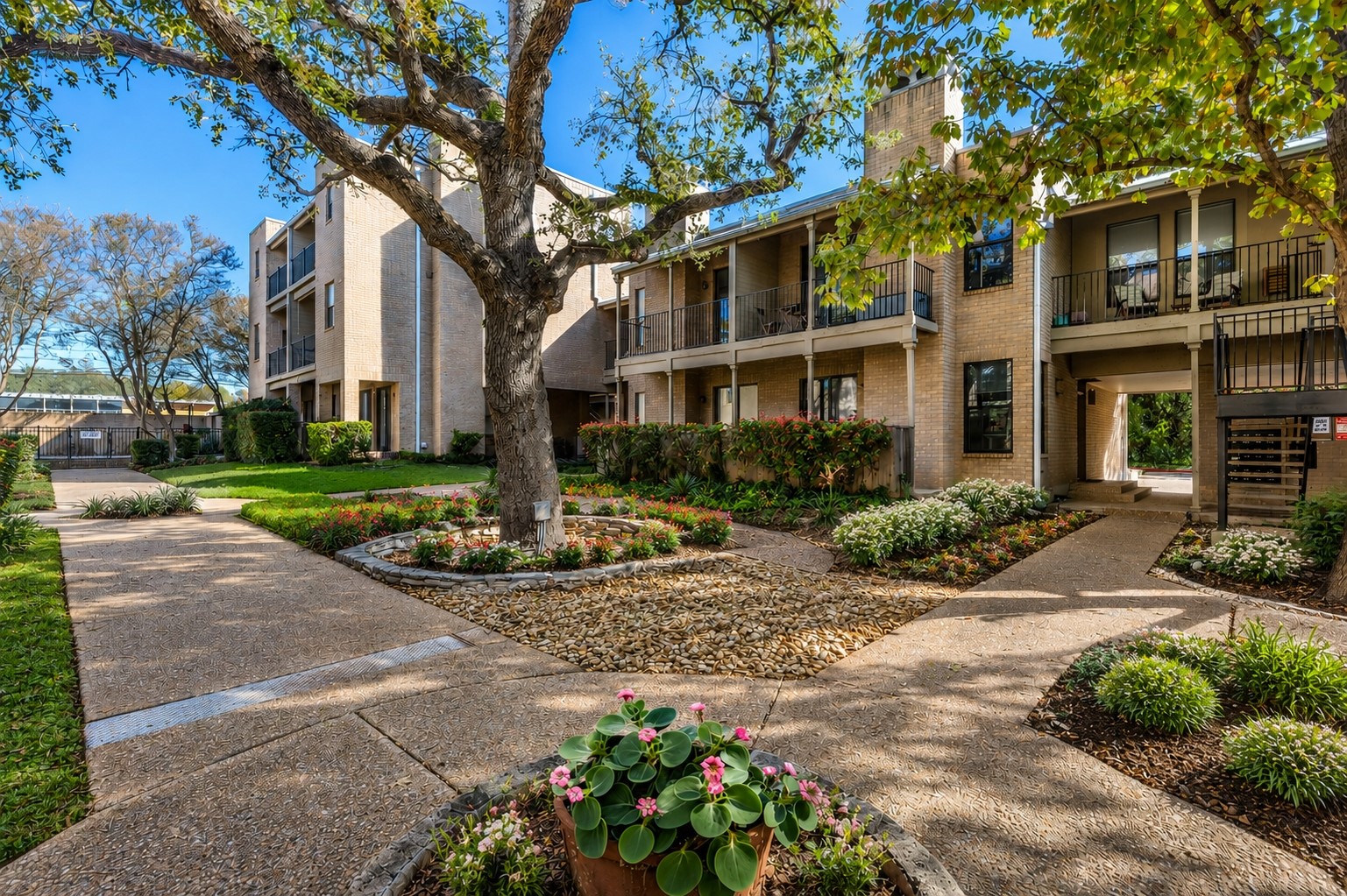 611 East 45th Street, Unit 25 Austin, TX 78751 - Photo 2 of 21 Central courtyard featuring mature trees, landscaped garden beds, and concrete pathways