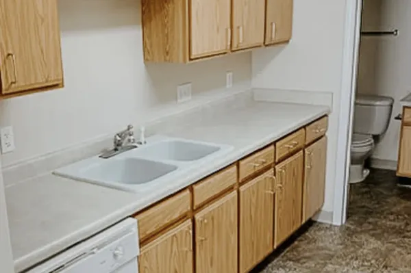 a bathroom with a sink and a toilet