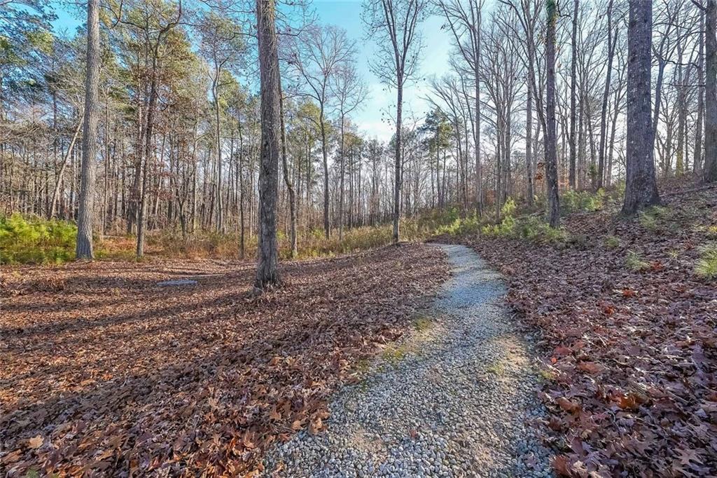2425 Wild Oak Court Stockbridge, GA 30281 - Photo 30 of 32 a backyard of a house with lots of green space