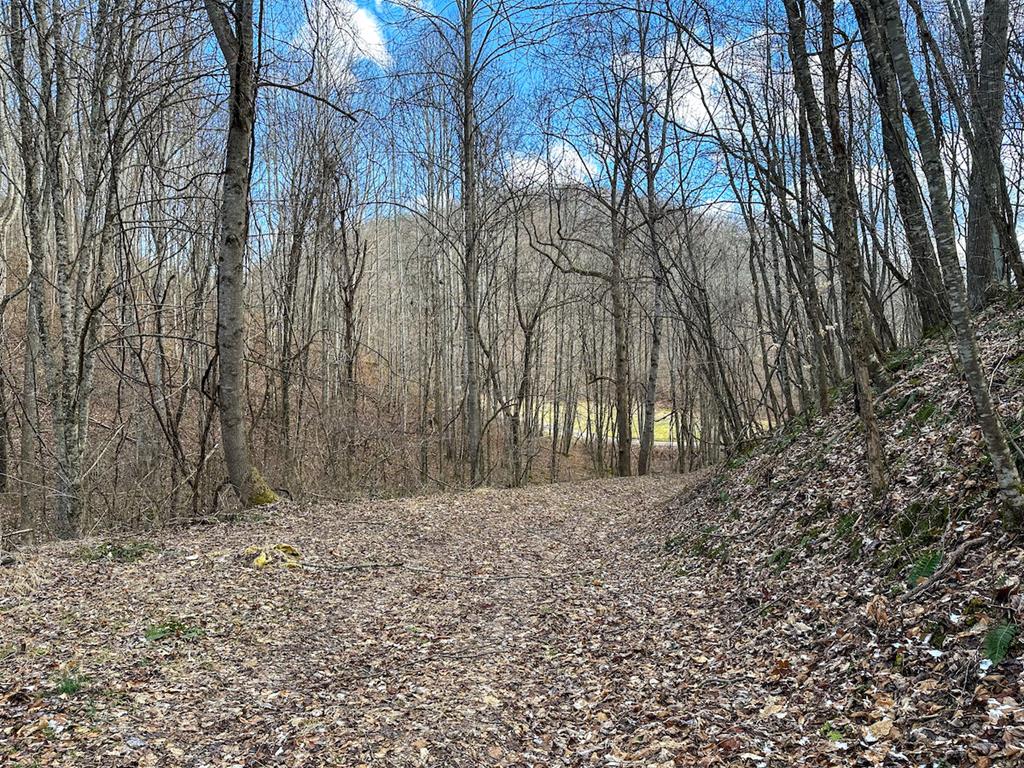 Schultz Hollow Road Bluefield, VA 24605 - Photo 10 of 25 Gallery Image 10