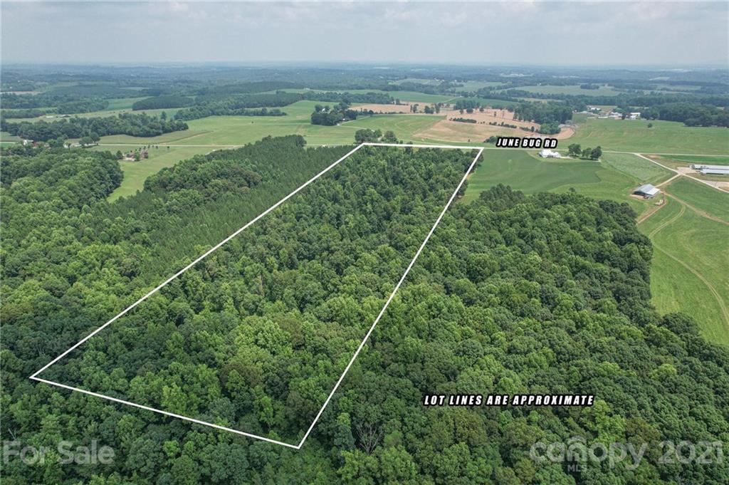 0 June Bug Road Lincolnton, NC 28092 - Photo 2 of 19 Gallery Image 2