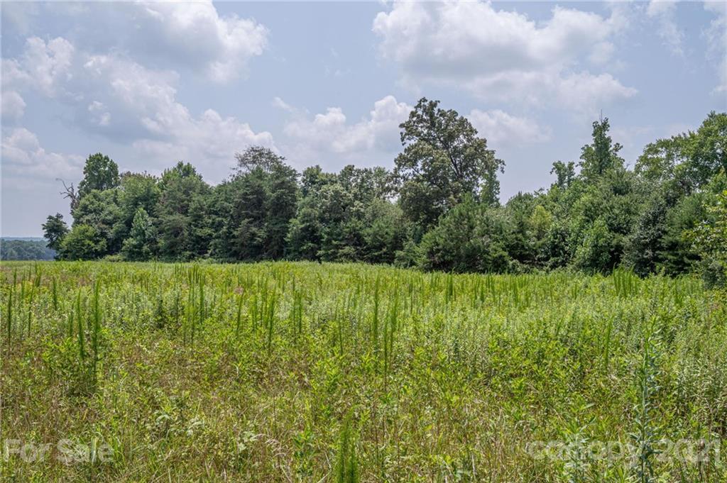 0 June Bug Road Lincolnton, NC 28092 - Photo 18 of 19 Gallery Image 18