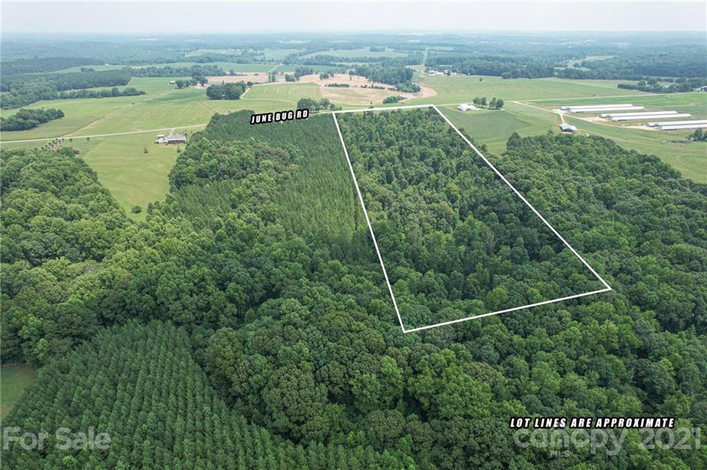 0 June Bug Road Lincolnton, NC 28092 - Photo 3 of 19 Gallery Image 3