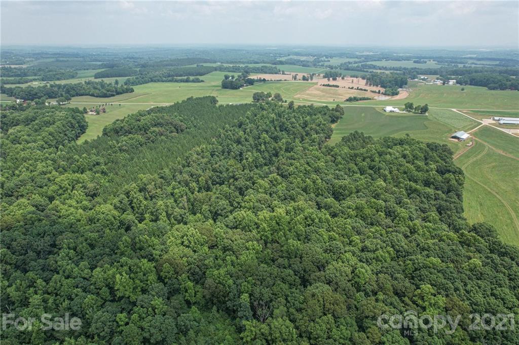 0 June Bug Road Lincolnton, NC 28092 - Photo 8 of 19 Gallery Image 8