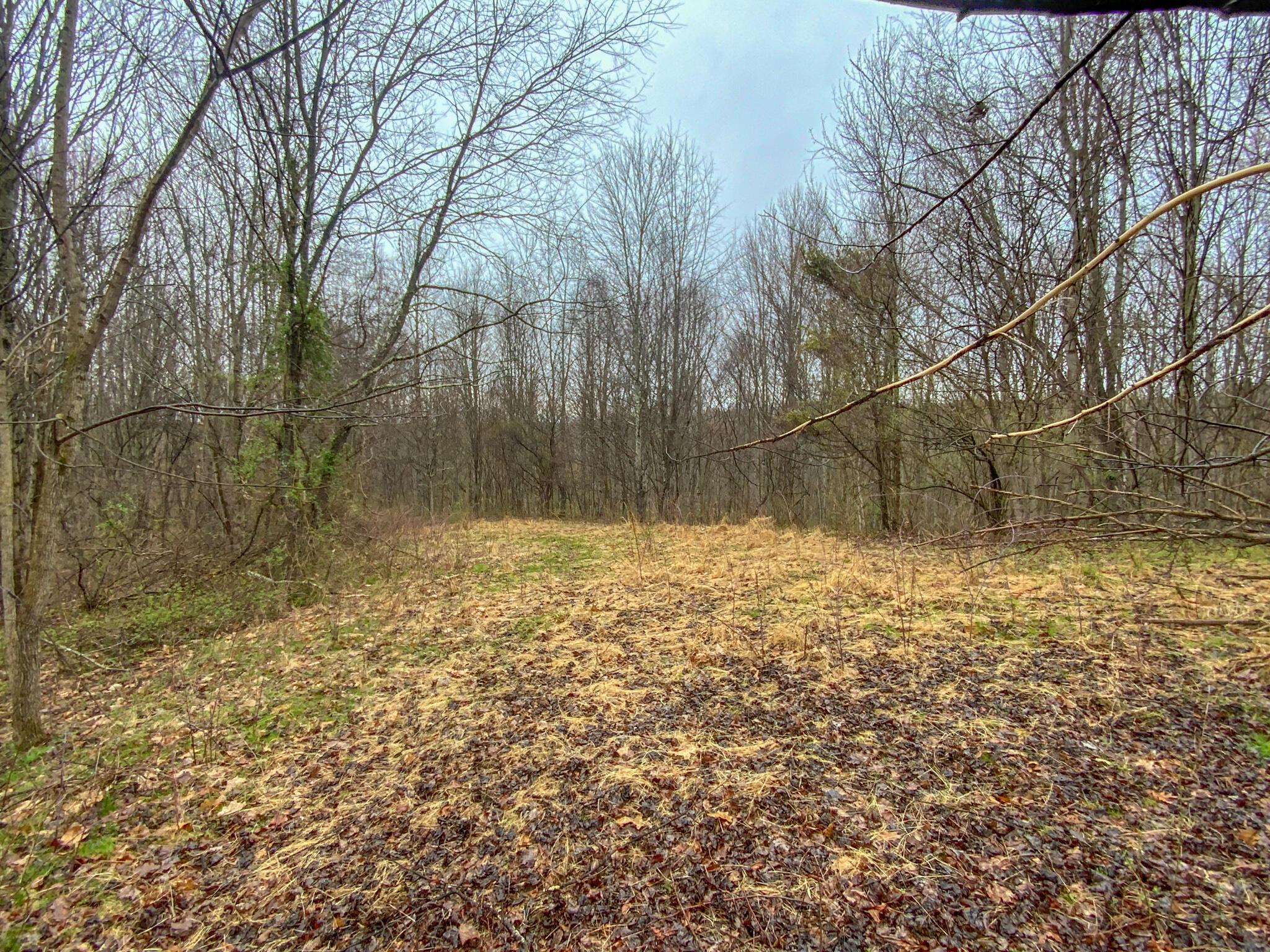 Twp Rd 3 10.008 Main Photo