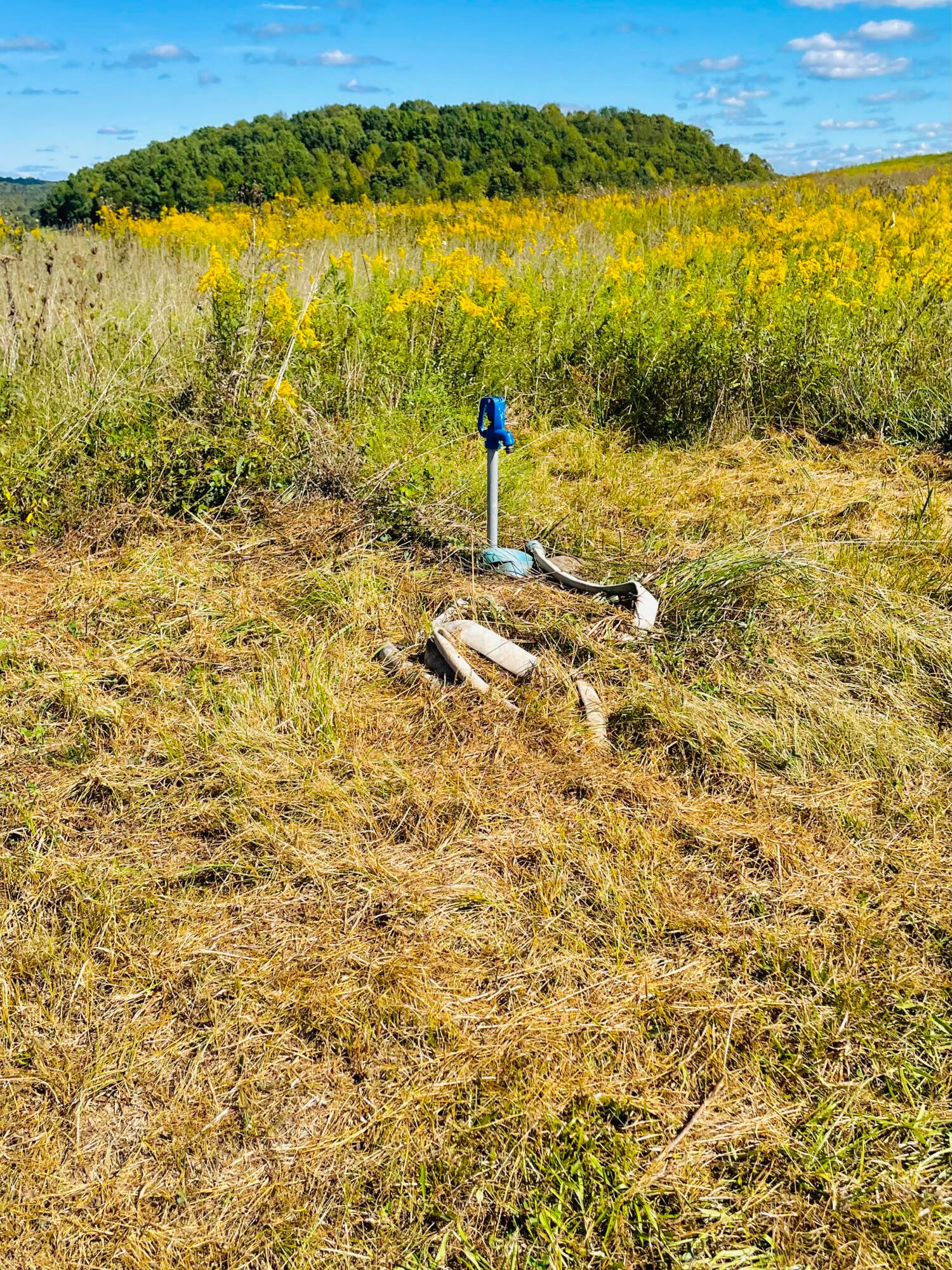 0 Sherman Road Vinton, OH 45686 - Photo 23 of 36 Water Spigot