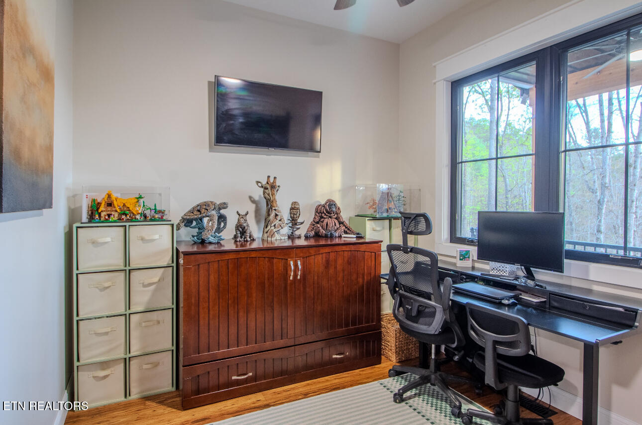 472 Highway 107 Del Rio, TN 37727 - Photo 20 of 45 IMG_6865