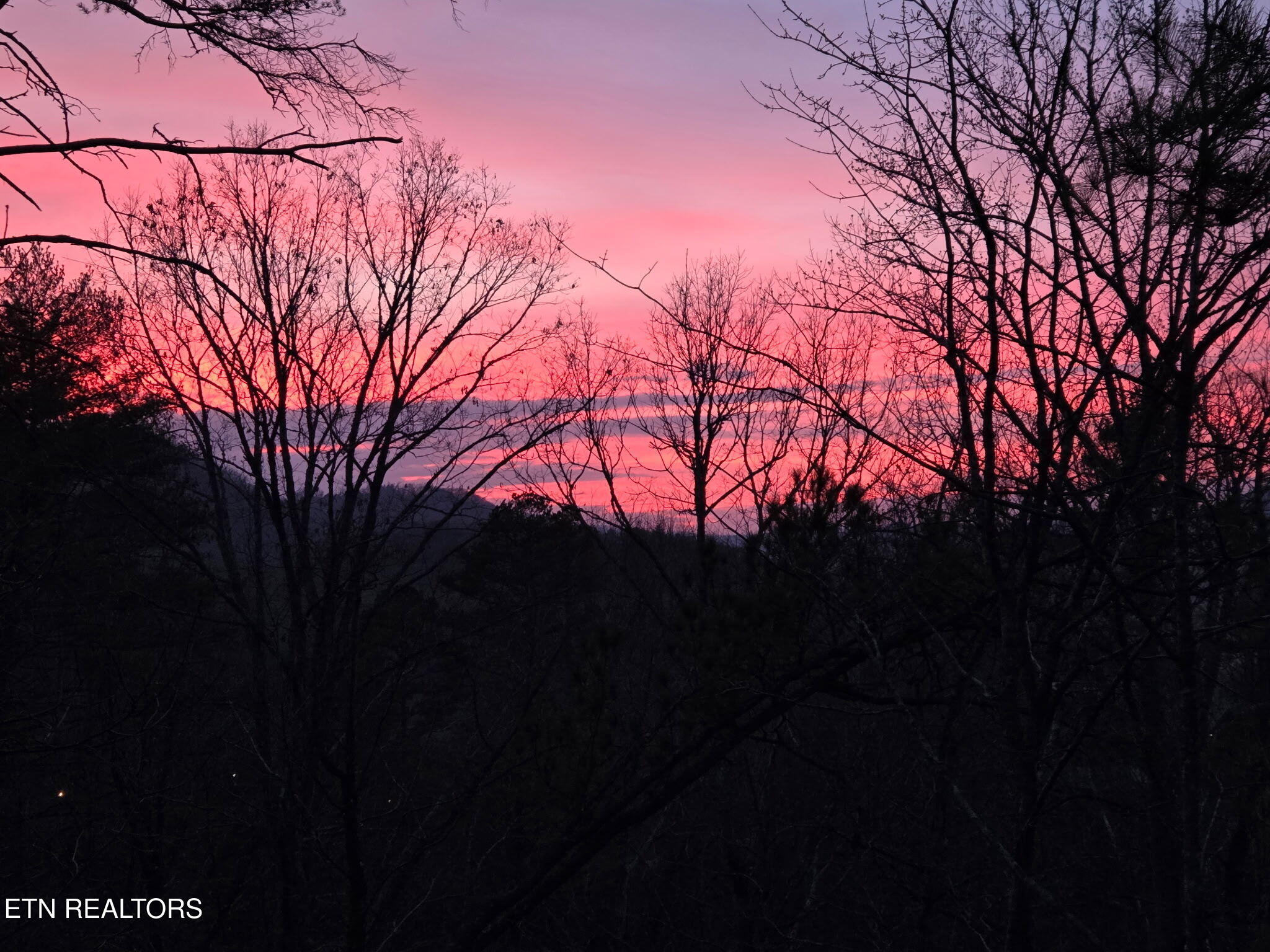 472 Highway 107 Del Rio, TN 37727 - Photo 2 of 45 IMG_20260414_112441 (4)