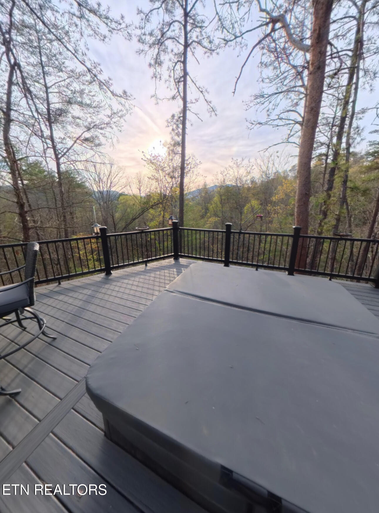 472 Highway 107 Del Rio, TN 37727 - Photo 30 of 45 IMG_6881