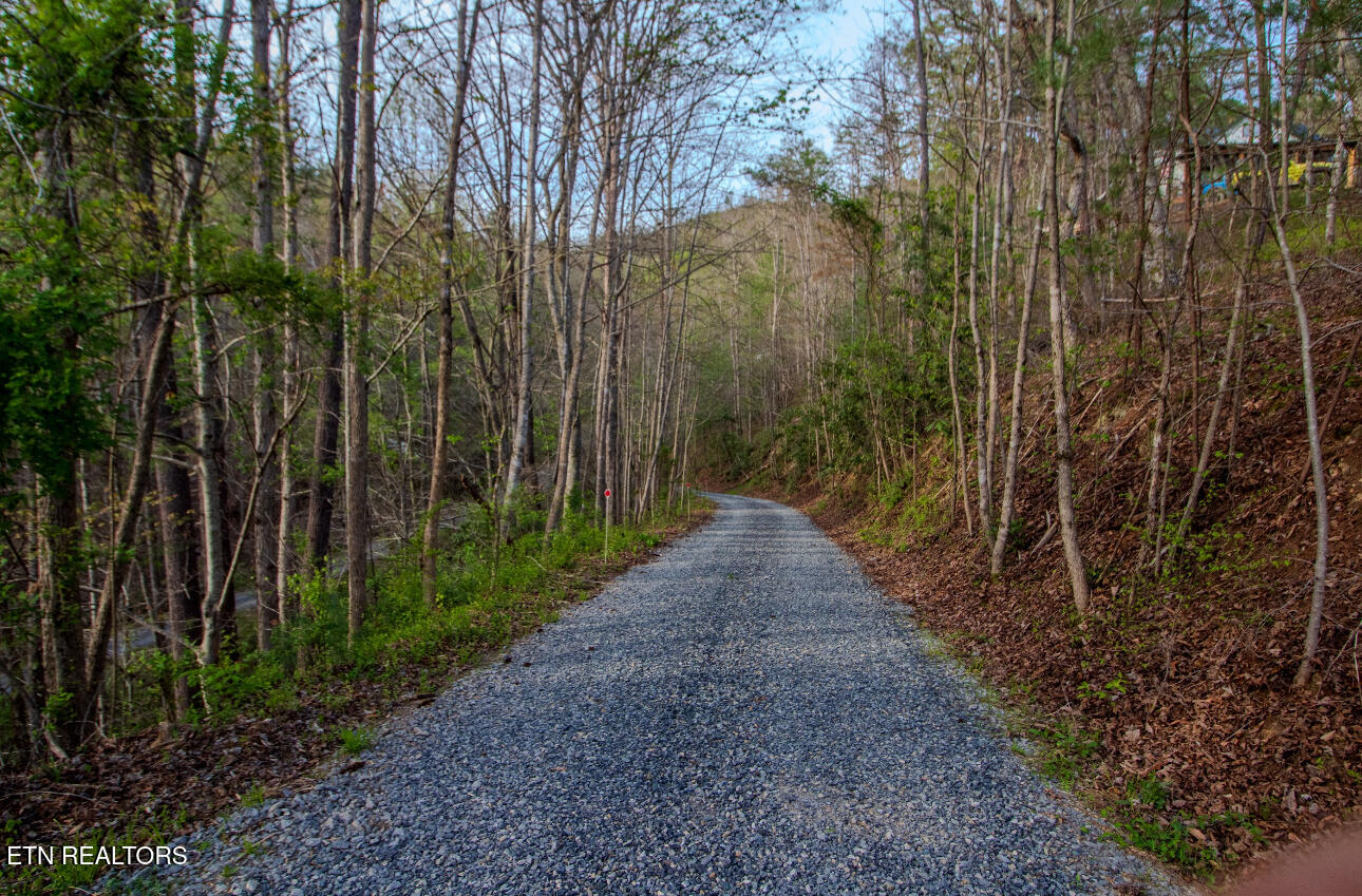 472 Highway 107 Del Rio, TN 37727 - Photo 34 of 45 IMG_6849